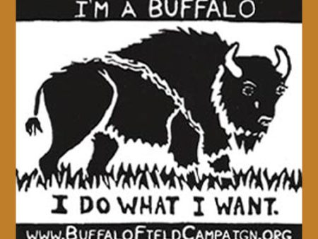 I m a Buffalo  Bumper Sticker Cheap