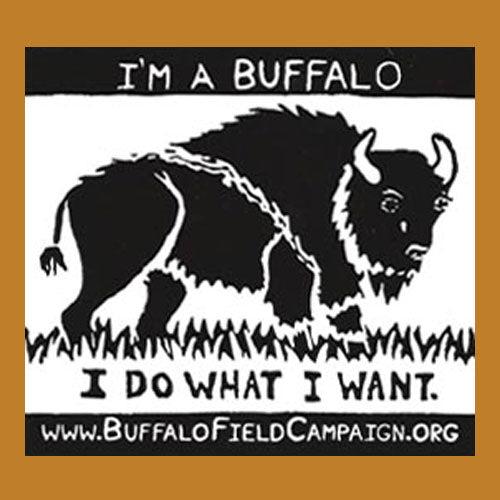 I m a Buffalo  Bumper Sticker Cheap